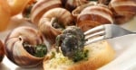 ESCARGOTS.jpg